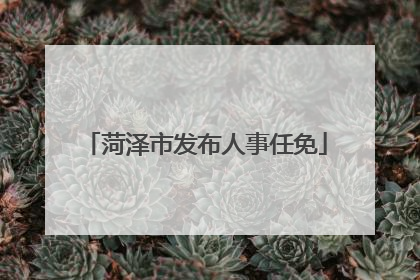 菏泽市发布人事任免