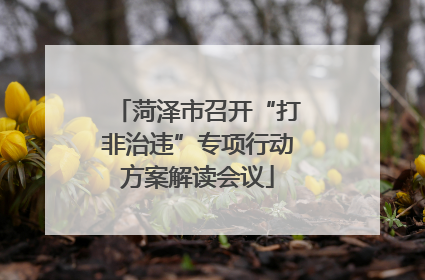 菏泽市召开“打非治违”专项行动方案解读会议
