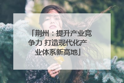 荆州：提升产业竞争力 打造现代化产业体系新高地