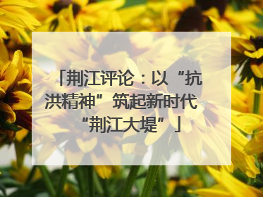 荆江评论：以“抗洪精神”筑起新时代“荆江大堤”