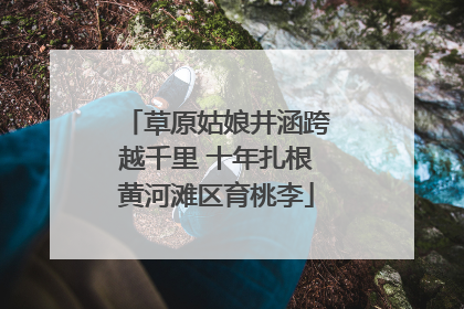 草原姑娘井涵跨越千里 十年扎根黄河滩区育桃李