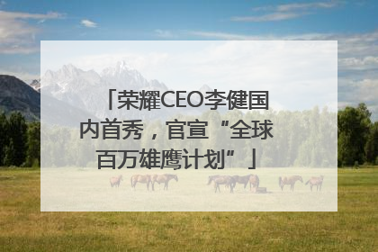 荣耀CEO李健国内首秀，官宣“全球百万雄鹰计划”