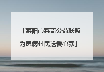 莱阳市菜哥公益联盟为患病村民送爱心款