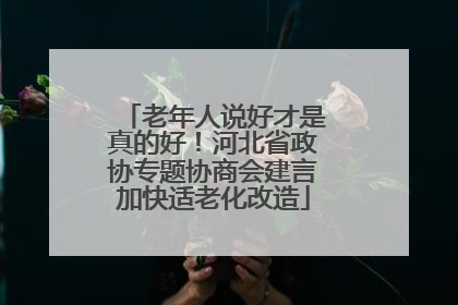 老年人说好才是真的好！河北省政协专题协商会建言加快适老化改造