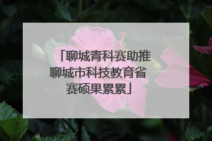 聊城青科赛助推聊城市科技教育省赛硕果累累
