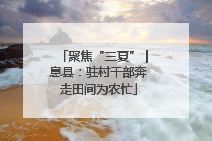 聚焦“三夏”｜息县：驻村干部奔走田间为农忙