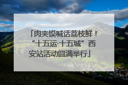 肉夹馍喊话荔枝鲜！“十五运·十五城”西安站活动圆满举行
