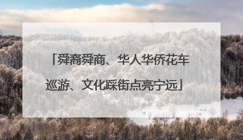 舜裔舜商、华人华侨花车巡游、文化踩街点亮宁远