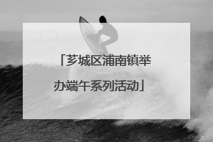 芗城区浦南镇举办端午系列活动