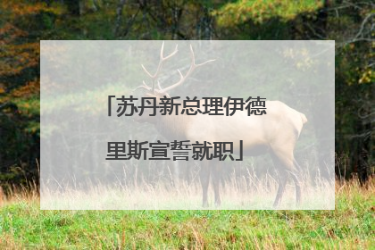 苏丹新总理伊德里斯宣誓就职