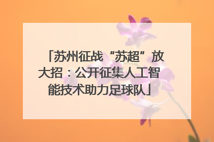 苏州征战“苏超”放大招：公开征集人工智能技术助力足球队