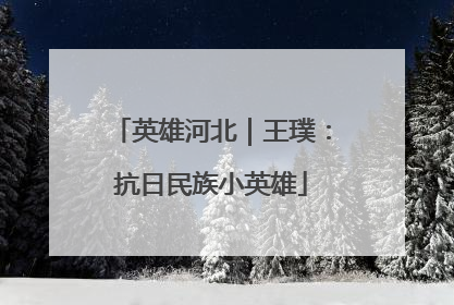 英雄河北｜王璞：抗日民族小英雄