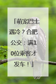 萌宠巴士遇冷？合肥公交：满10位乘客才发车！
