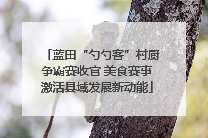 蓝田“勺勺客”村厨争霸赛收官 美食赛事激活县域发展新动能