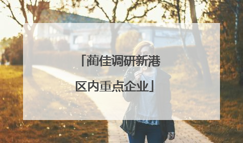 蔺佳调研新港区内重点企业