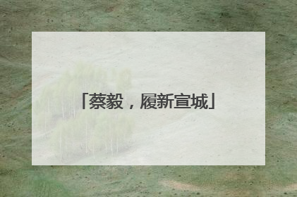 蔡毅，履新宣城