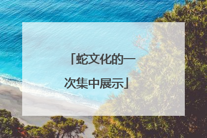 蛇文化的一次集中展示