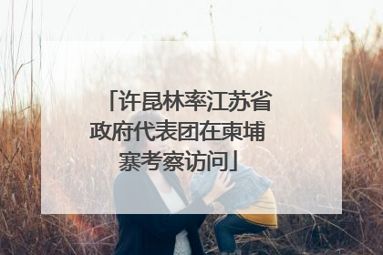 许昆林率江苏省政府代表团在柬埔寨考察访问