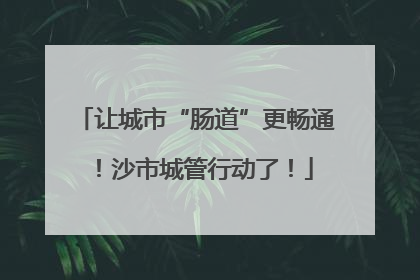 让城市“肠道”更畅通！沙市城管行动了！