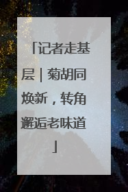 记者走基层｜菊胡同焕新，转角邂逅老味道