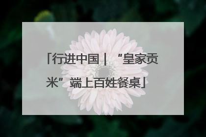 行进中国｜“皇家贡米”端上百姓餐桌