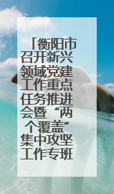 衡阳市召开新兴领域党建工作重点任务推进会暨“两个覆盖”集中攻坚工作专班 第一次会议