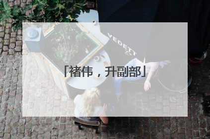 褚伟，升副部