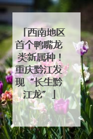 西南地区首个鸭嘴龙类新属种！重庆黔江发现“长生黔江龙”