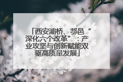 西安灞桥、鄠邑“深化六个改革”：产业攻坚与创新赋能双驱高质量发展