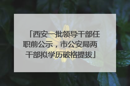 西安一批领导干部任职前公示，市公安局两干部拟学历破格提拔