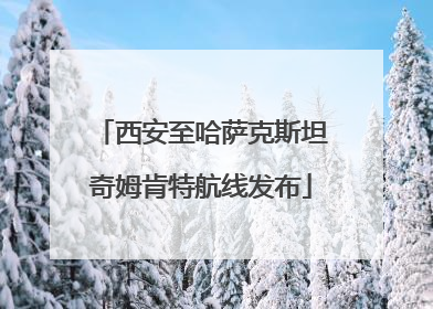 西安至哈萨克斯坦奇姆肯特航线发布