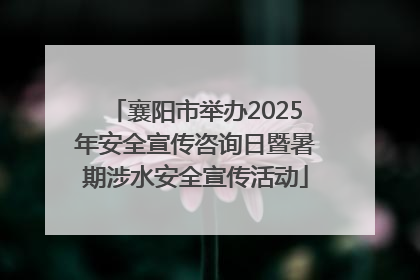 襄阳市举办2025年安全宣传咨询日暨暑期涉水安全宣传活动