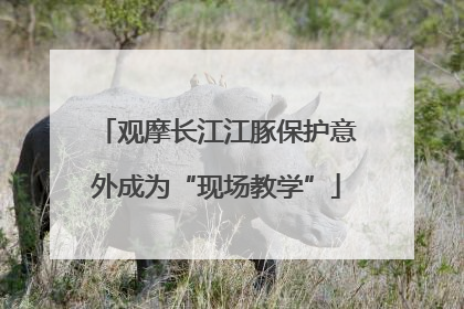 观摩长江江豚保护意外成为“现场教学”