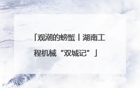 观潮的螃蟹丨湖南工程机械“双城记”