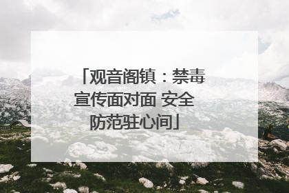 观音阁镇：禁毒宣传面对面 安全防范驻心间