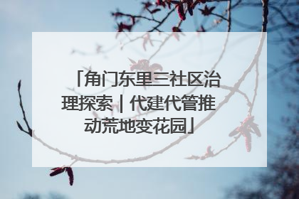 角门东里三社区治理探索｜代建代管推动荒地变花园