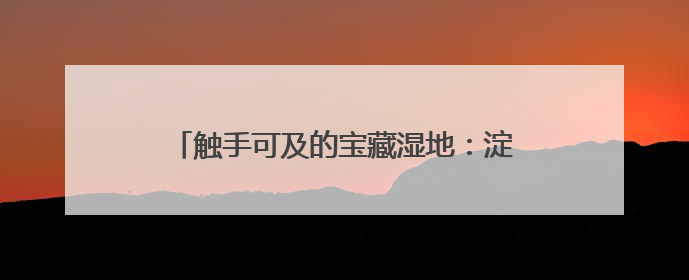 触手可及的宝藏湿地：淀湖村的“魔都小亚马逊”