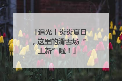 追光丨炎炎夏日，这里的滑雪场“上新”啦！
