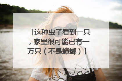 这种虫子看到一只，家里很可能已有一万只（不是蟑螂）