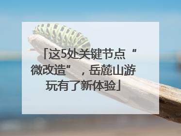 这5处关键节点“微改造”，岳麓山游玩有了新体验