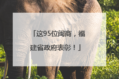 这95位闽商，福建省政府表彰！