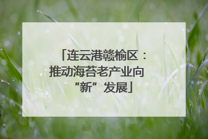 连云港赣榆区：推动海苔老产业向“新”发展