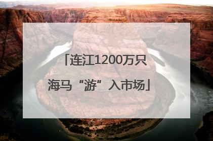 连江1200万只海马“游”入市场