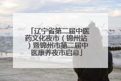 辽宁省第二届中医药文化夜市（锦州站）暨锦州市第二届中医康养夜市启幕