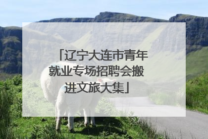 辽宁大连市青年就业专场招聘会搬进文旅大集