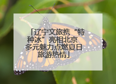 辽宁文旅携“特种冰”亮相北京 多元魅力点燃夏日旅游热情