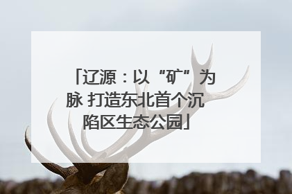 辽源：以“矿”为脉 打造东北首个沉陷区生态公园