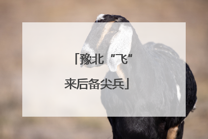 豫北“飞”来后备尖兵