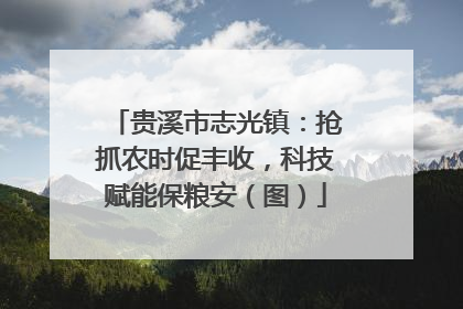 贵溪市志光镇：抢抓农时促丰收，科技赋能保粮安（图）