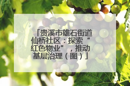 贵溪市雄石街道仙桥社区：探索“红色物业”，推动基层治理（图）